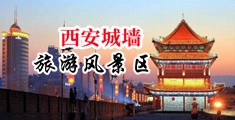 骚逼求插高清视频中国陕西-西安城墙旅游风景区